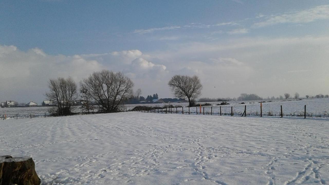 B & B Victors Hof, Met Zwemvijver In Landelijke Setting Lievegem 외부 사진