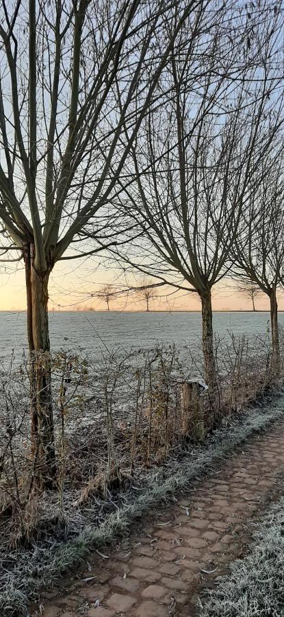 B & B Victors Hof, Met Zwemvijver In Landelijke Setting Lievegem 외부 사진