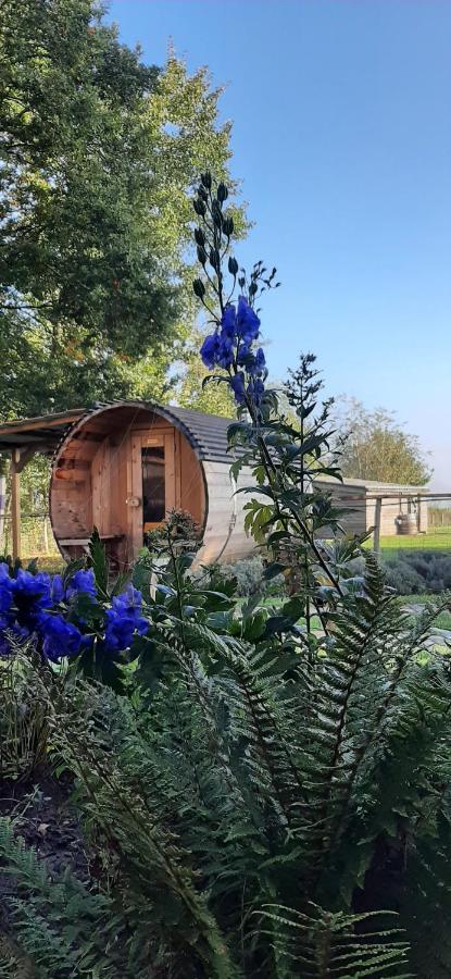 B & B Victors Hof, Met Zwemvijver In Landelijke Setting Lievegem 외부 사진