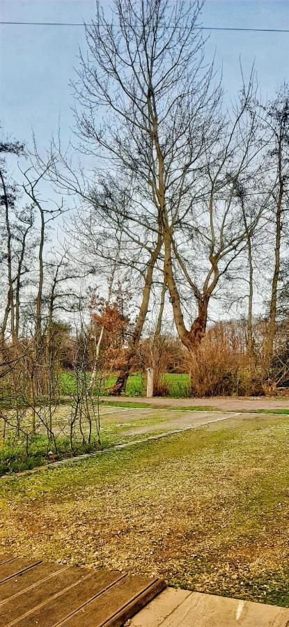 B & B Victors Hof, Met Zwemvijver In Landelijke Setting Lievegem 외부 사진